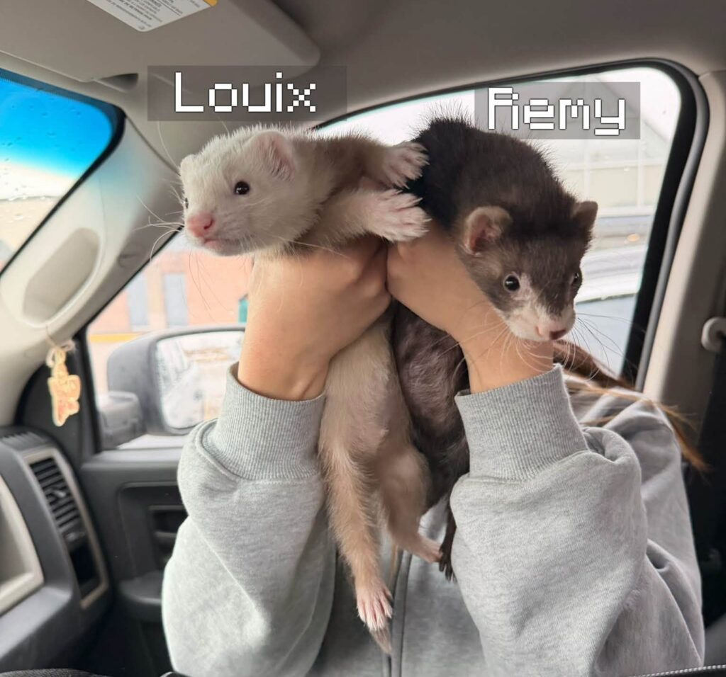 Louix and Remy